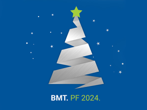 Přejeme Vám šťastné a veselé Vánoce