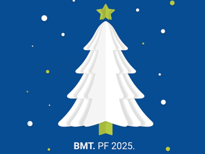 Přejeme Vám šťastné a veselé Vánoce