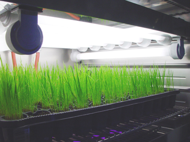 Fotogalerie CLIMACELL®
